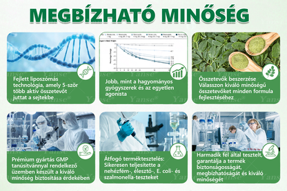 🇭🇺𝗛𝗶𝘃𝗮𝘁𝗮𝗹𝗼𝘀 Á𝗿𝘂𝗵á𝘇 | 🍀🍀𝐘𝐚𝐧𝐬𝐞® 𝗠𝗼𝗿𝗶𝗻𝗴𝗮·𝗕𝗲𝗿𝗯𝗲𝗿𝗶𝗻𝗲×𝗡𝗔𝗗+ 𝟭𝟬‑𝗶𝗻‑𝟭 𝗧𝗮𝗽𝗮𝘀𝘇 (𝗡𝗮𝗽𝗼𝗻𝘁𝗮 𝗲𝗴𝘆𝘀𝘇𝗲𝗿, 𝟳 𝗻𝗮𝗽 𝗮𝗹𝗮𝘁𝘁 𝗹á𝘁𝗵𝗮𝘁ó 𝘃á𝗹𝘁𝗼𝘇á𝘀)✅ 𝗘𝗹𝗵í𝘇á𝘀, 𝗹𝗮𝘇𝗮 𝗯ő𝗿, 𝗰𝘂𝗸𝗼𝗿𝗯𝗲𝘁𝗲𝗴𝘀é𝗴, 𝗮𝗹𝘃á𝘀𝗶 𝗮𝗽𝗻𝗼é, í𝘇ü𝗹𝗲𝘁𝗶 𝗽𝗿𝗼𝗯𝗹é𝗺á𝗸 𝗸𝗲𝘇𝗲𝗹é𝘀é𝗿𝗲